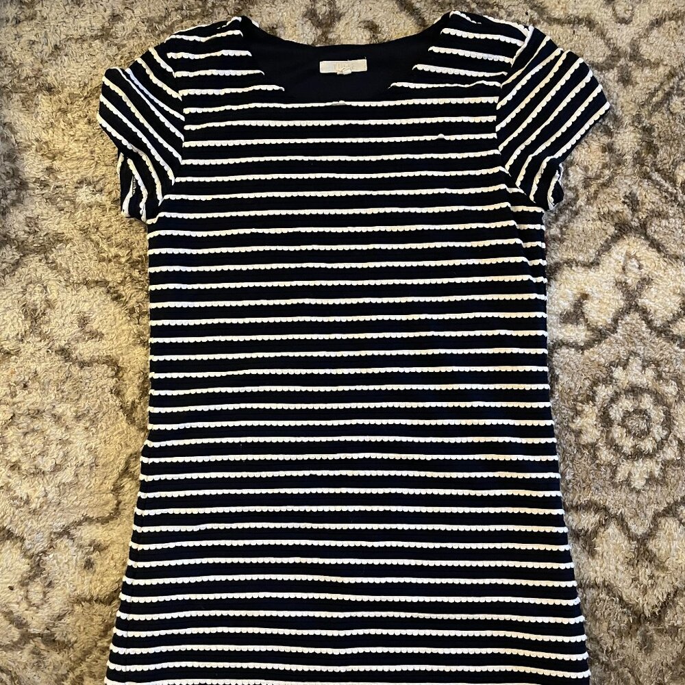 Blue and White Striped Tulle Sundress (M)